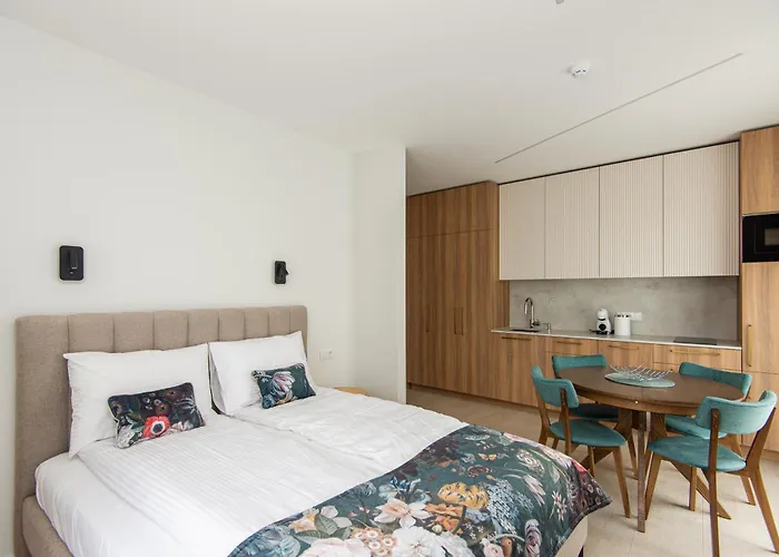 Zemaiciu 16 Apartment Palanga