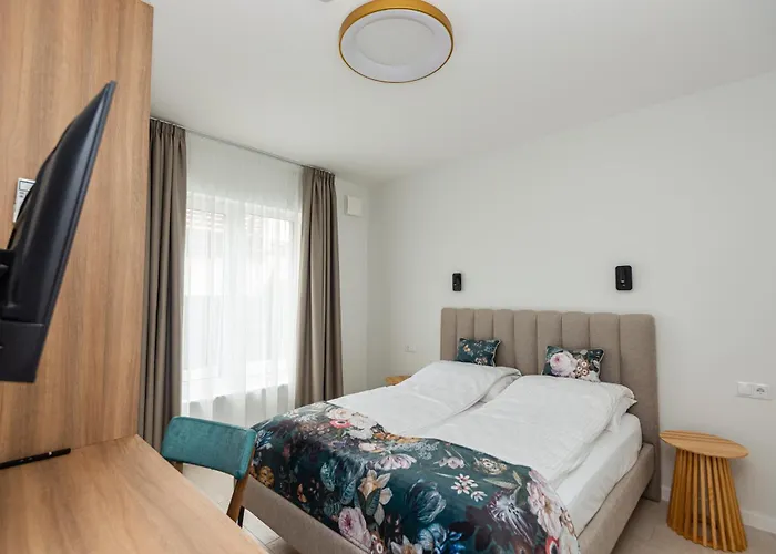 Zemaiciu 16 Apartment Palanga